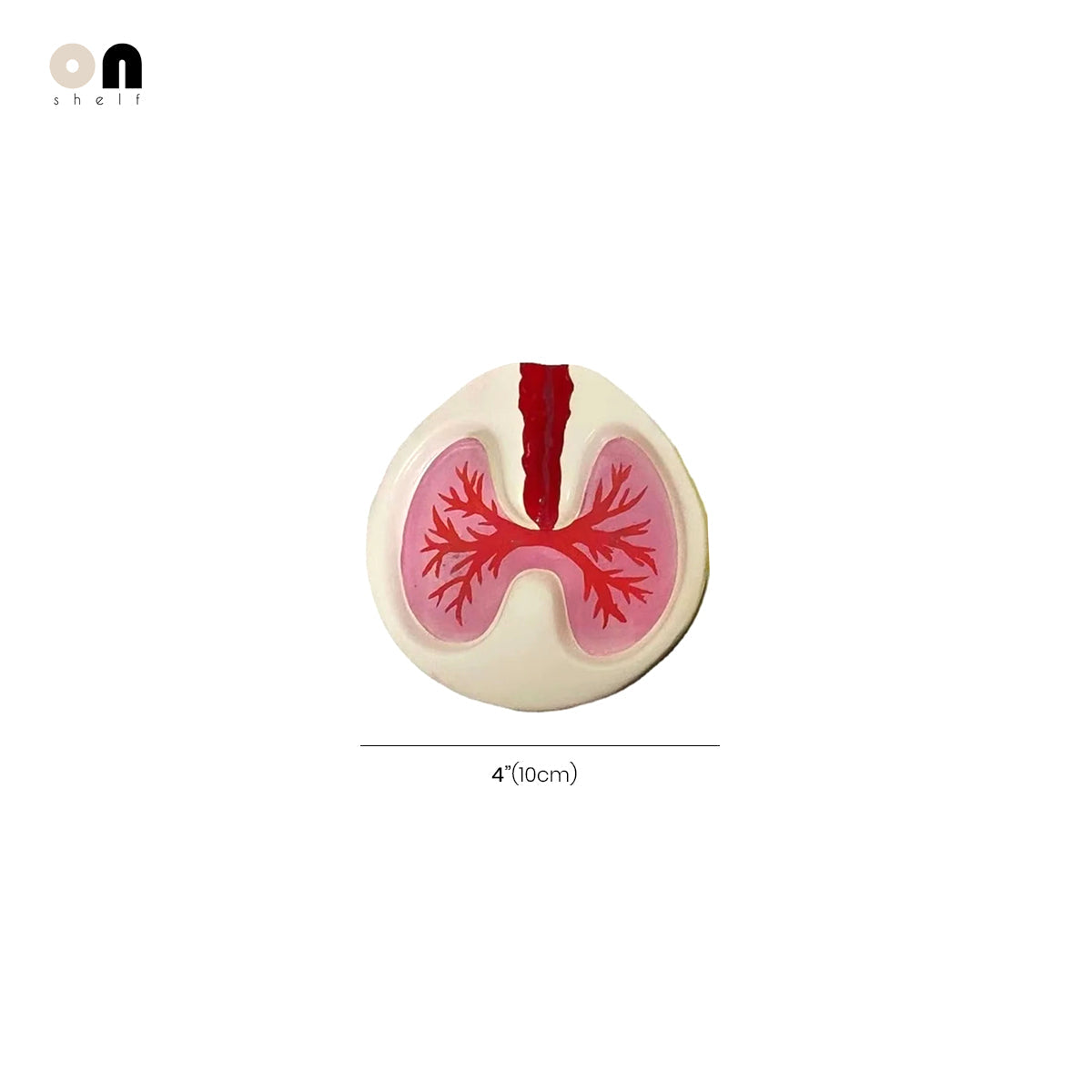 Ashtray Humor Interactive Funny Novelty Desk Shelf Office Home Contemporary Unique Conversation Piece Gift for Smokers Friends